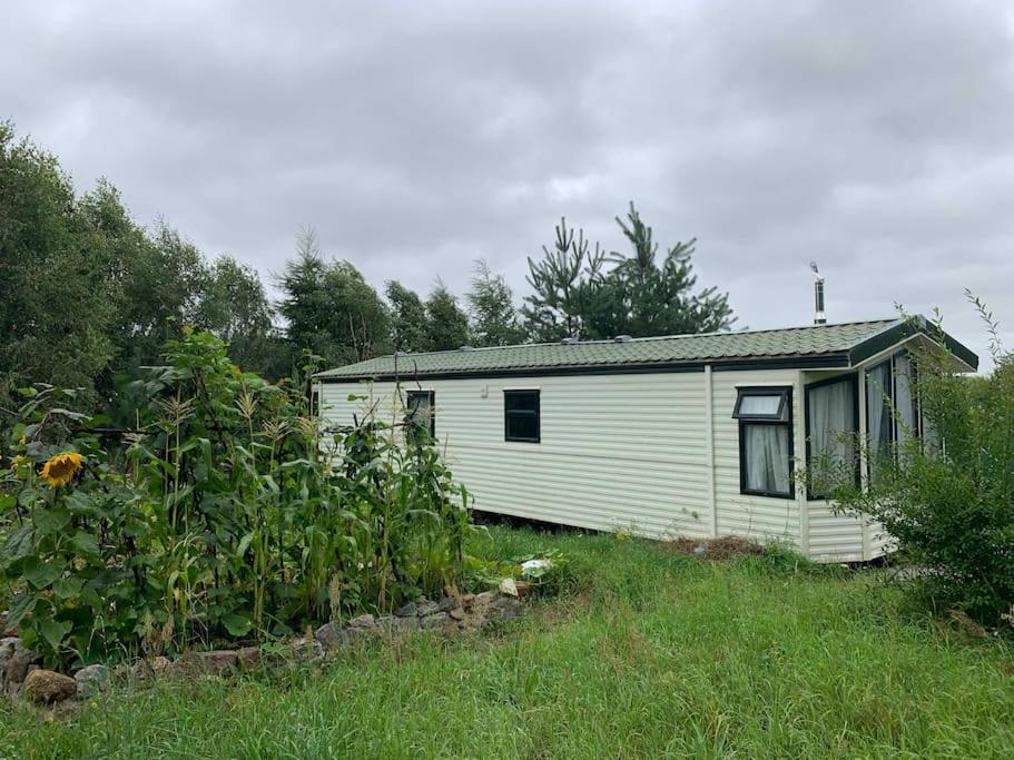 Domek Holenderski Jasnotka Golubie Exterior photo